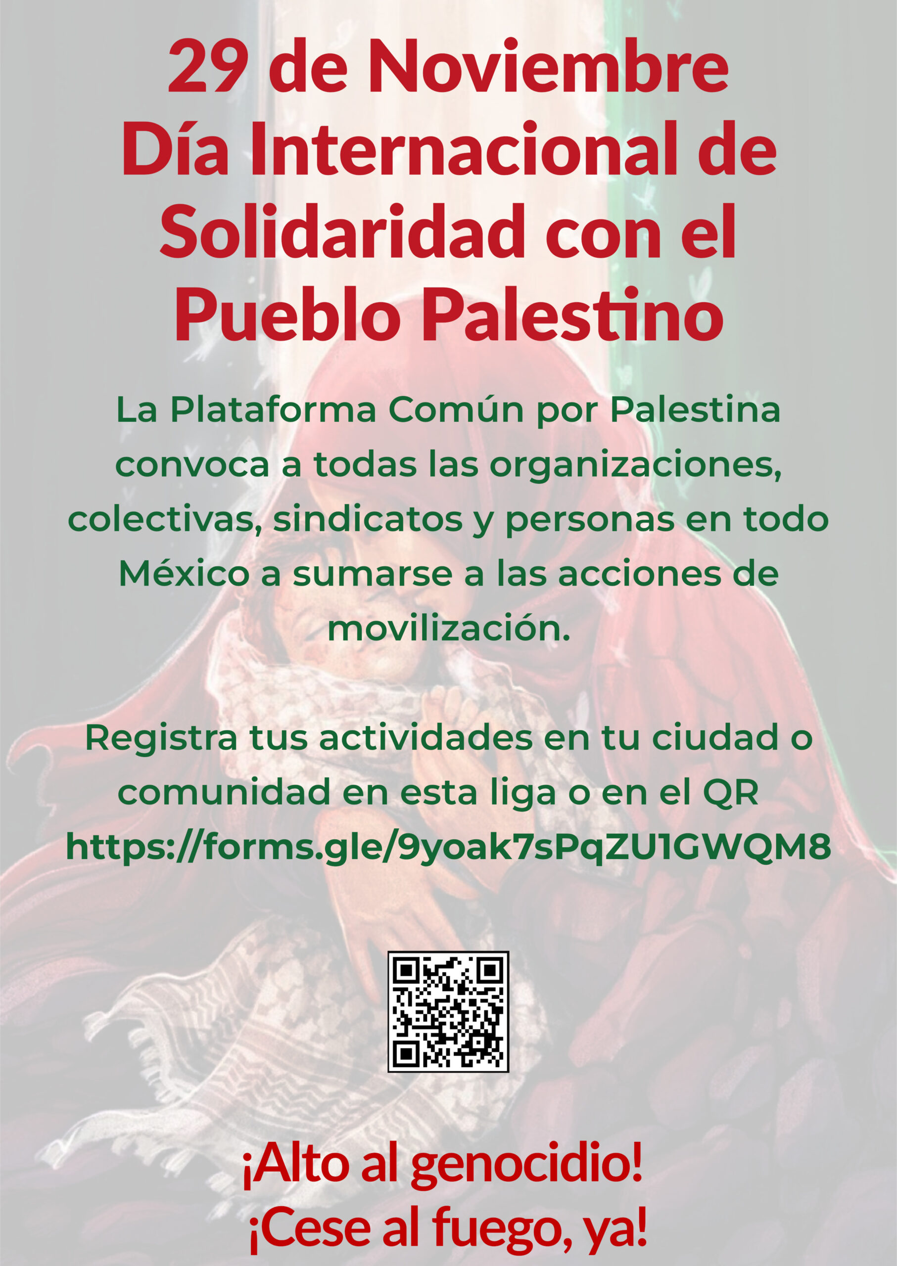 29 N. Día Internacional de Solidaridad con el Pueblo Palestino