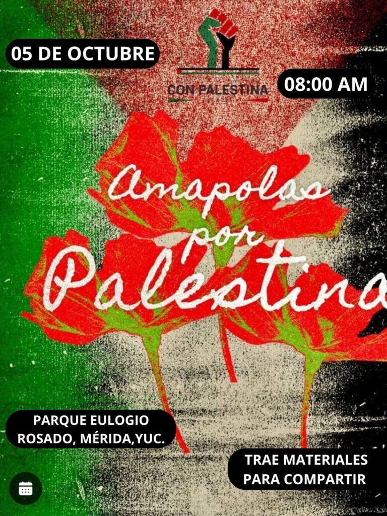 Amapolas por Palestina, Yucatán 5 de octubre