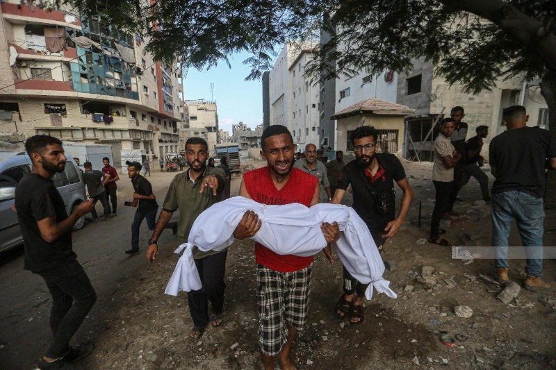 Un llamamiento urgente desde Gaza